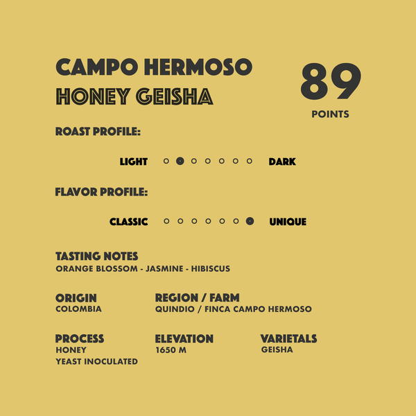 The Alchemist Box Set - Campo Hermoso