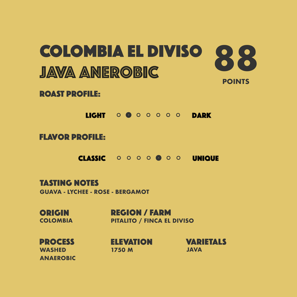 Colombia Finca El Diviso Java Anaerobic