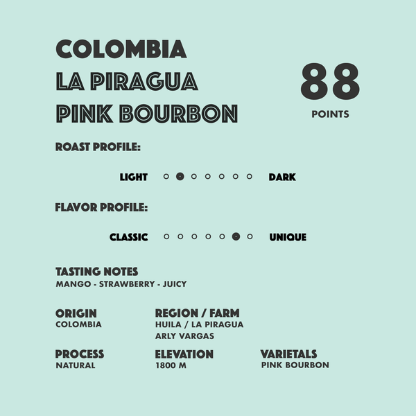 Colombia La Piragua Pink Bourbon