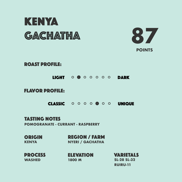 Kenya Gachatha
