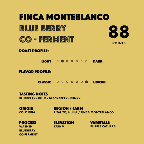 Colombia Finca Monteblanco Blueberry Co-Ferment