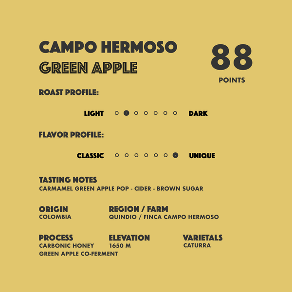 The Alchemist Box Set - Campo Hermoso