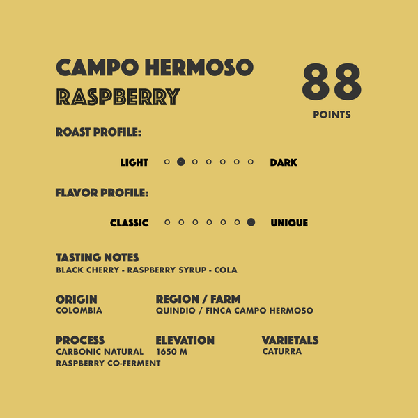 The Alchemist Box Set - Campo Hermoso