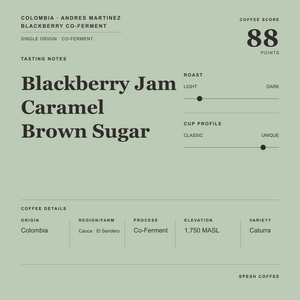A minimalist coffee label design on a muted sage green background, featuring the text 'Blackberry Jam Caramel Brown Sugar' and coffee details including origin Colombia, roast level, cup profile, elevation, and variety Caturra. The brand 'SPESH COFFEE' appears at the bottom.
