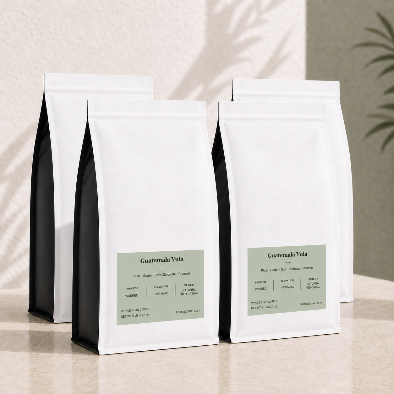 Four white bulk 5 lb coffee bags with black sides and a muted sage green label reading 'Guatemala Yula' on a light beige surface against a textured beige wall with soft leaf shadows.