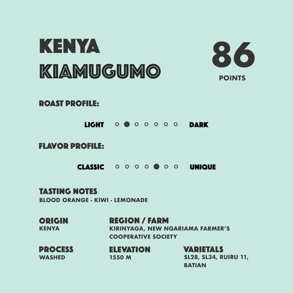 Kenya Kiamugumo