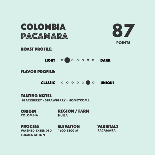 Colombia Pacamara